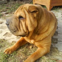 /album/fotogaleria/blani1-we-jpg/